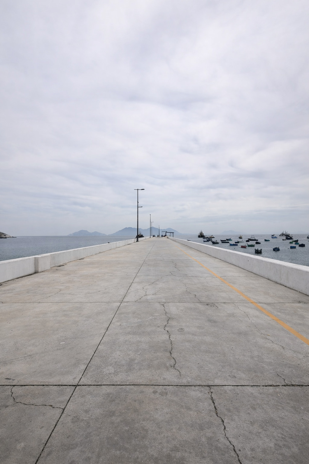 Muelle 8