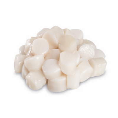Botones de Pota Congelados