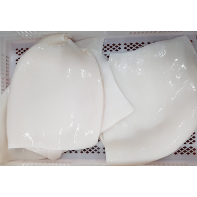 Filetes de Pota Congelados